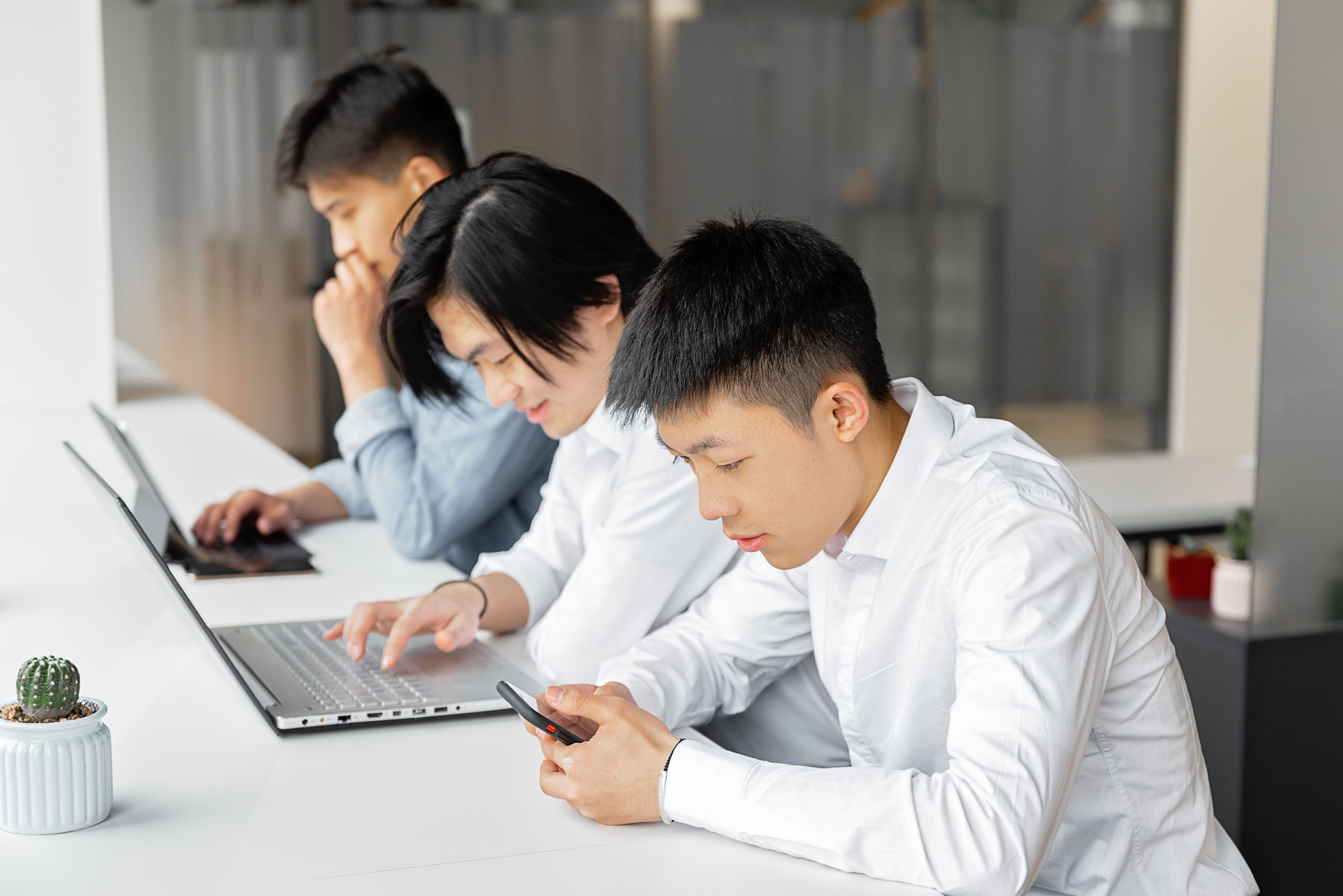 成色18K.8.35b与西瓜元素的数字化溯源新思路